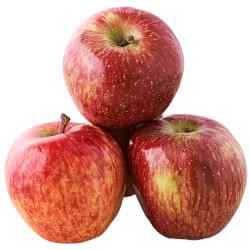 Apple Kashmir