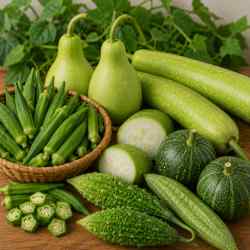 Bhindi & Gourds