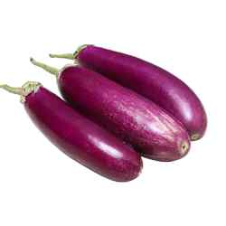 Brinjal Purple Long