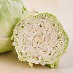 Cabbage (Patta Gobi)