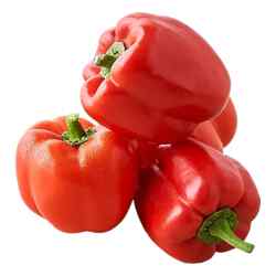Capsicum Bell Pepper Red