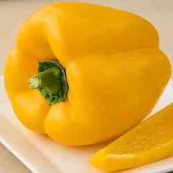 Capsicum Bell Pepper Yellow