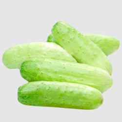 Cucumber(kheera) Desi