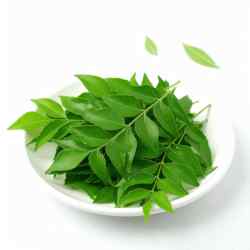 Curry Leaf
