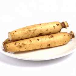 Lotus Root