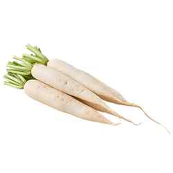 Radish (Mooli)