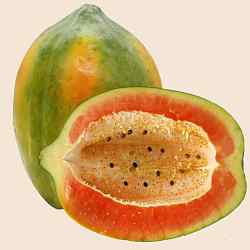 Papaya Ripe Big Size