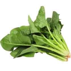 Palak