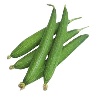 Sponge Gourd (Tori)